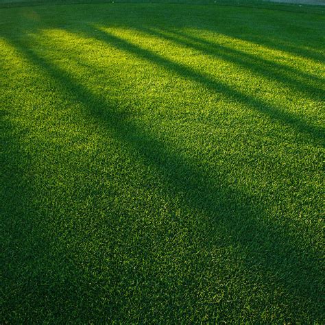 Lawn Wallpapers Top Free Lawn Backgrounds Wallpaperaccess