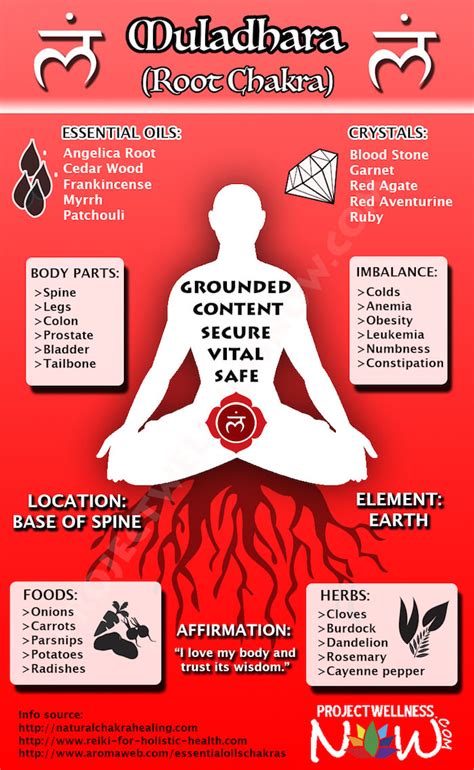 What You Need To Know About Your Root Chakra Project Wellness Now