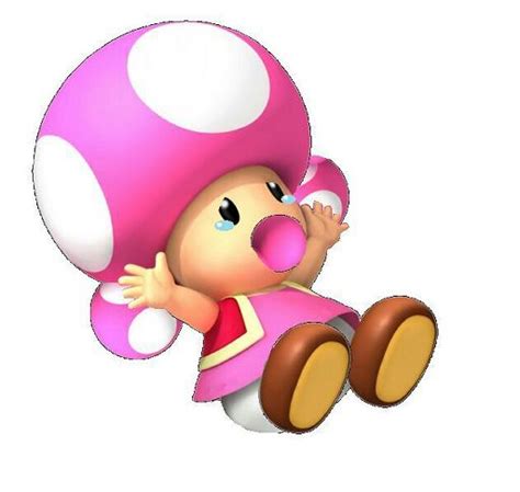 toad and toadette wiki mario amino