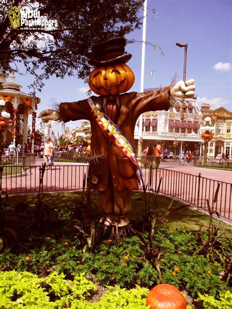 Sunday Photo Story Pumpkin Scarecrows On Main Street Usa Wdw