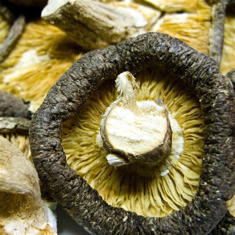 ¿cuál es la manera más saludable de cocinar las setas y champiñones? Cómo y cuánto tiempo cocinar setas secas | ComoLoCocino.com