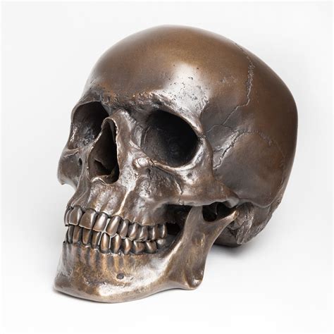Human Skull Darkened Bronze Raven Armoury Touch Of Modern
