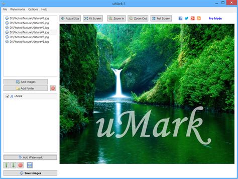 Top 7 Best Watermark Software to Watermark Your Creative Work