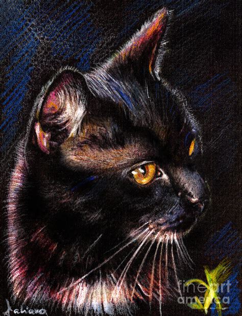 Black Cat Drawing Portrait Drawing By Daliana Pacuraru Fine Art America