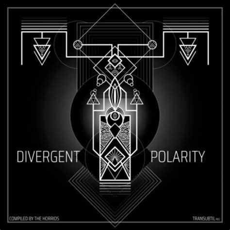 VA Divergent Polarity 2023 MusicEffect Ru Electronic Music