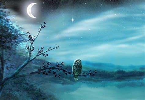 Beautiful Night Owl Art View Black Sky Branch Tree Fantasy