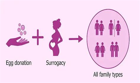 Surrogacy In The Us There Is No Federal Surrogacy Law So Each State