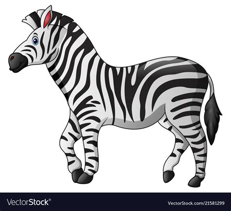 Cute Zebra Cartoon Royalty Free Vector Image Vectorstock