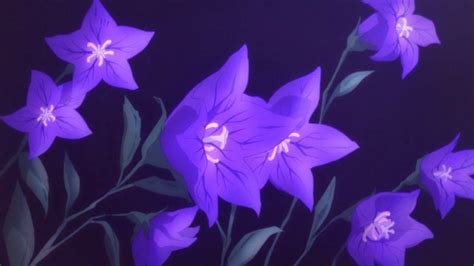 Anime Flower Anime Flower Anime Anime Wallpaper