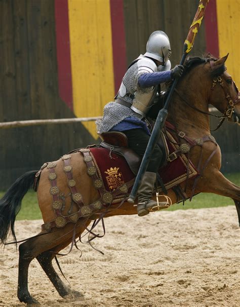 Medieval History Historical Fantasy War Horse