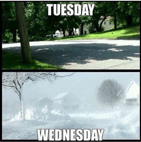 It soared more than 60% wednesday after the home furnishings retailer unveiled. Welcome to Michigan. Bipolar weather like this is also in ...