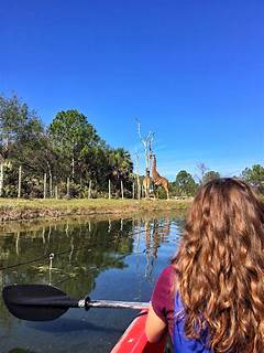 Craving Adventure Explore The Wild Side Of Brevard On Craigslist