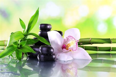 Produkte Massage Baan Thai