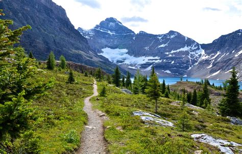 Обои горы озеро Канада тропинка Mount Revelstoke National Park