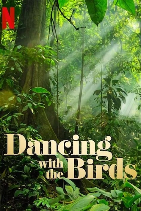 Dancing With The Birds 2019 — The Movie Database Tmdb