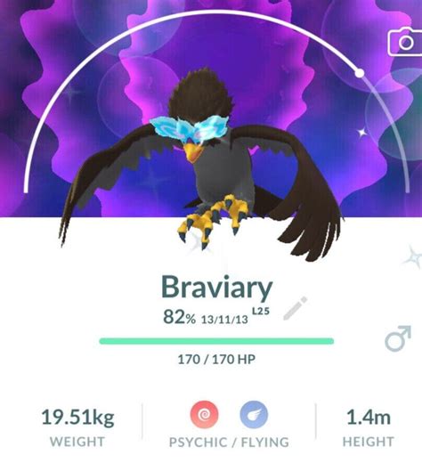 Pokemon Shiny Hisuian Braviary Mini P T C 80 000 Stardust Dont