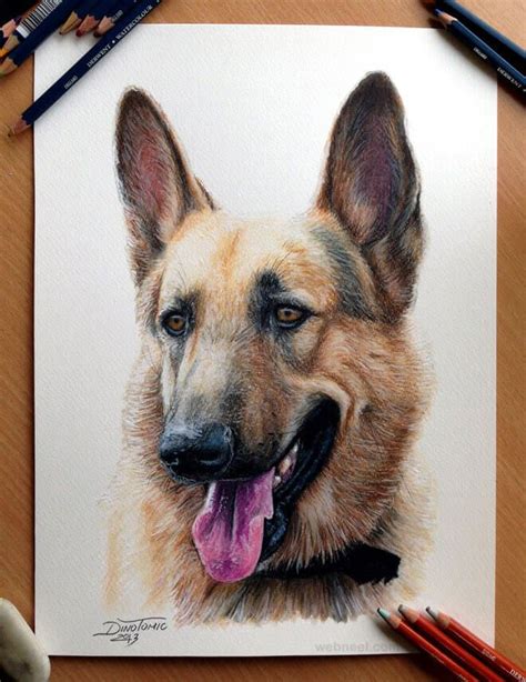 Paintings Of Animals 5 1 Realistic Animal Drawings 3d Drawings