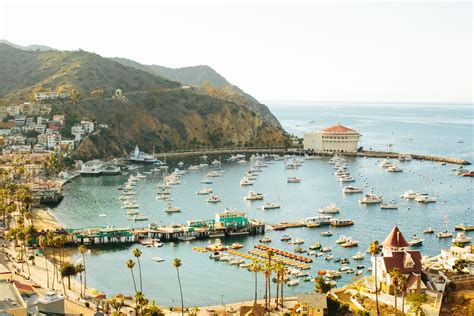 Our Guide To The Top Places To Stay Eat And Adventure On Catalina