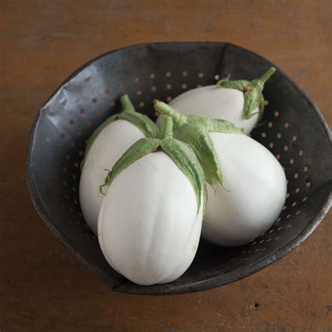 Unscramble eggplant, unscramble letters eggplant, point value for eggplant, word decoder for eggplant, word generator using the letters eggplant, word solver eggplant, possible scrabble words with eggplant, anagram of italian word unscrambler. Paloma (F1) Eggplant Seed | Eggplant seeds, Eggplant varieties, White eggplant