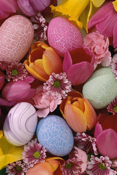 30 Cute Easter iPhone Wallpapers - Available Ideas