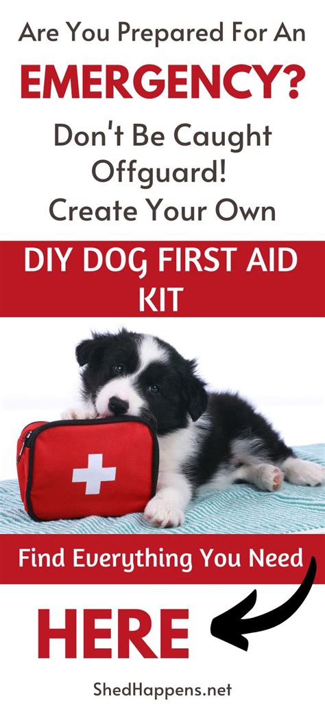 Create Your Own Diy Dog First Aid Kit Diy Dog Stuff First Aid Kit Dogs