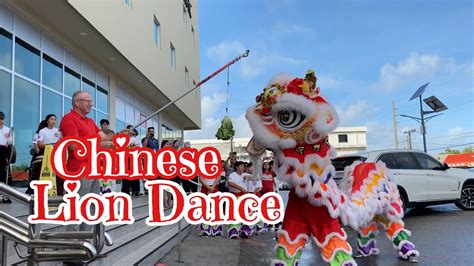 The lion dance is one of the most important traditions at chinese new chinese lion dances are performed by two dancers in a lion costume, rather like a pantomime horse. CHINESE LION DANCE Vlog#72 - YouTube