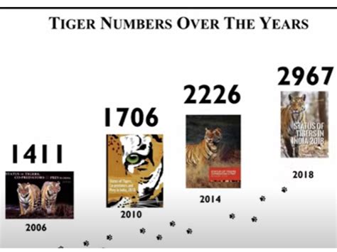 50 Years Of Project Tiger Pm Modi Releases Tiger Survey Know Details
