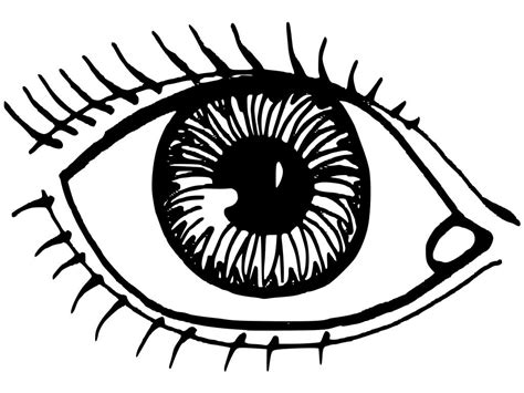 Beautiful Woman Eyes Coloring Pages For Adults Sketch Coloring Page