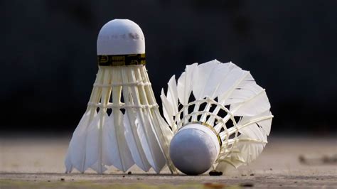 Interesting Facts To Know About Badminton Shuttlecocks The Frisky
