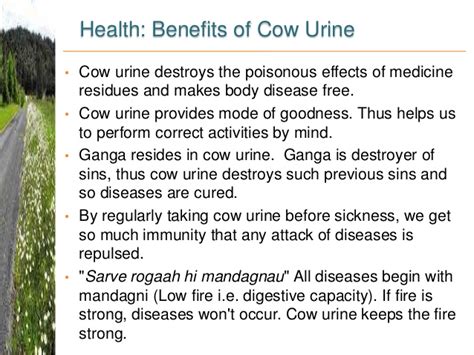 गोमुत्र गजब की औषधीय शक्ति Gomutra Benefits Cow Urine Uses