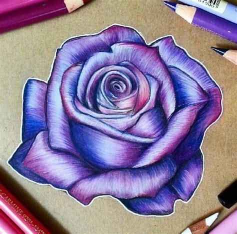 Purple Rose Drawing With Colored Pencils