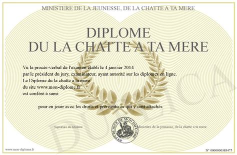 Diplome Du La Chatte A Ta Mere