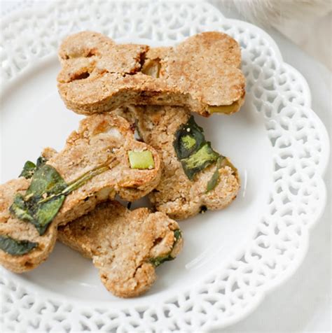 You get the chance to take a more personalized approach to providing the food that your friend and pet gets to eat every day. 15 Easy Homemade Dog Treat Recipes Your Dog Will Love