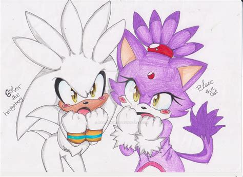 Silver The Hedgehog And Blaze The Cat By Maitanime013 On Deviantart