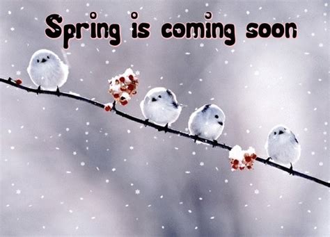 Fastest and easy online meme generator, create meme, 100000+ templates, you can upload your own foto / picture. Serenity Knits: SPRING IS COMING SOON