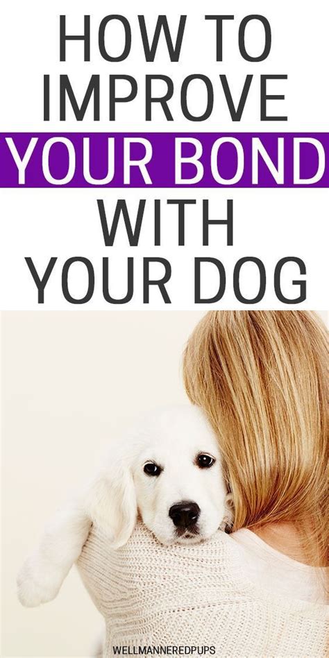 Three Ways To Have A Better Bond With Your Dog In 2020 Best Bond Dog