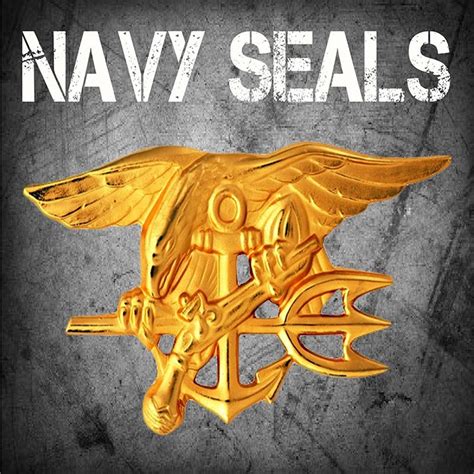 Pin By William Slovick On United States Military Navy Seal Trident