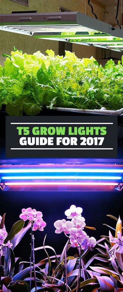 In This T5 Grow Light Guide Learn Which T5 Grow Lights Are The Best