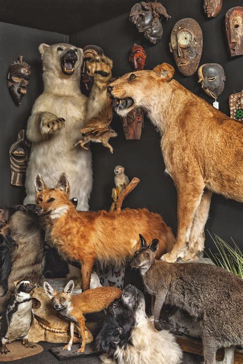 Display of taxidermy (photograph by Oskar Proctor) (Viktor Wynd