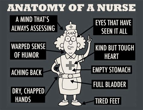 Anatomy Of A Nurse Nurse Humor Nurse Work Humor