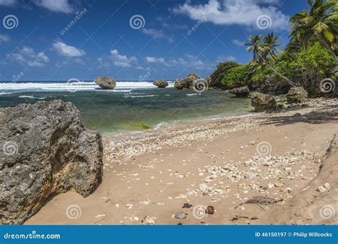 playa barbados las antillas de bathsheba imagen de archivo imagen de caribe oriente 46150197