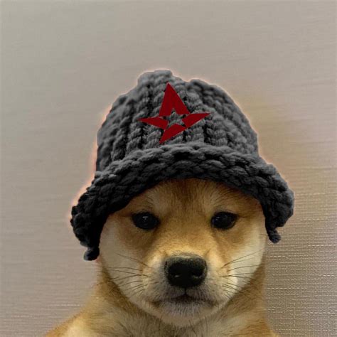 An Astralis Dogwifhat Profile Pic I Made Feel Free To Use It D Csgo