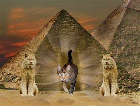 49 Best Images Fun Facts About Cats In Ancient Egypt Why Were Cats So Important In Ancient