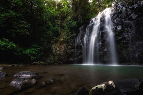 Atherton Tablelands Waterfalls The 10 Best Cascades To See 2023 Guide