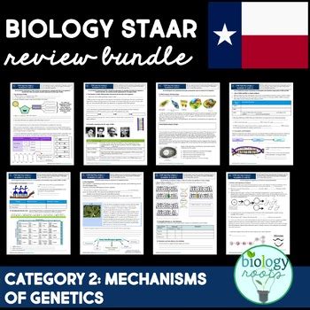 I break down the content and underlying info needed to ace the staar test. STAAR Biology Review Category 2- Mechanisms of Genetics by Biology Roots