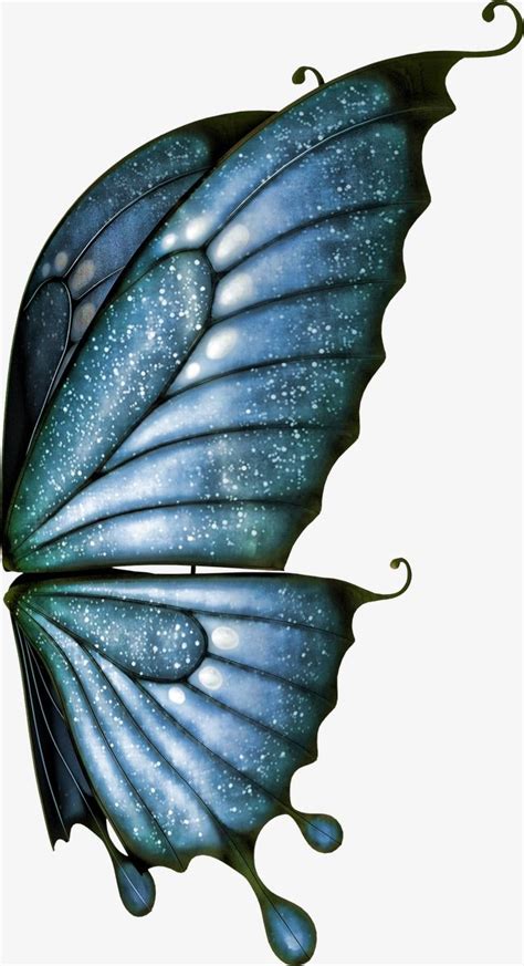 Butterfly Drawing Butterfly Wallpaper Butterfly Wings Fairy Wings