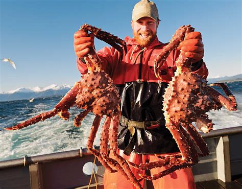 Crabs From Alaska Types Characteristics And More