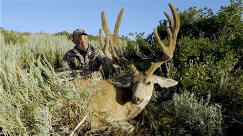 Top 3 Biggest Velvet Mule Deer Shot On Camera Compilation Youtube