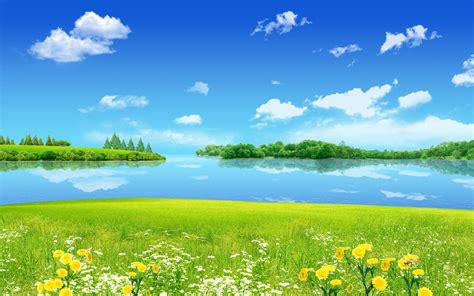 🔥 Download Summer Flowers Wallpaper Beautiful Desktop By Timothyo