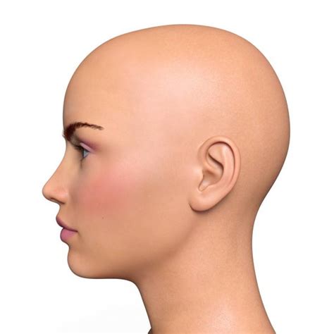 Female Head Muscles Anatomy Side View — Stock Photo